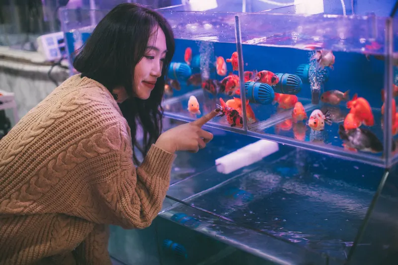 Acuario iluminado con peces de ornato dentro de una tienda